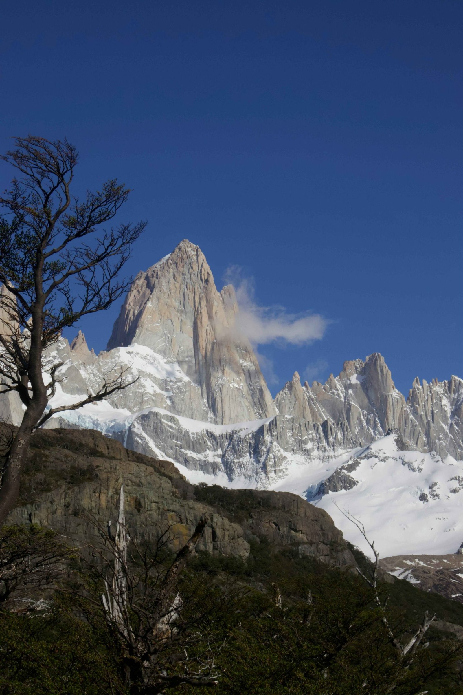 WT. Patagonia