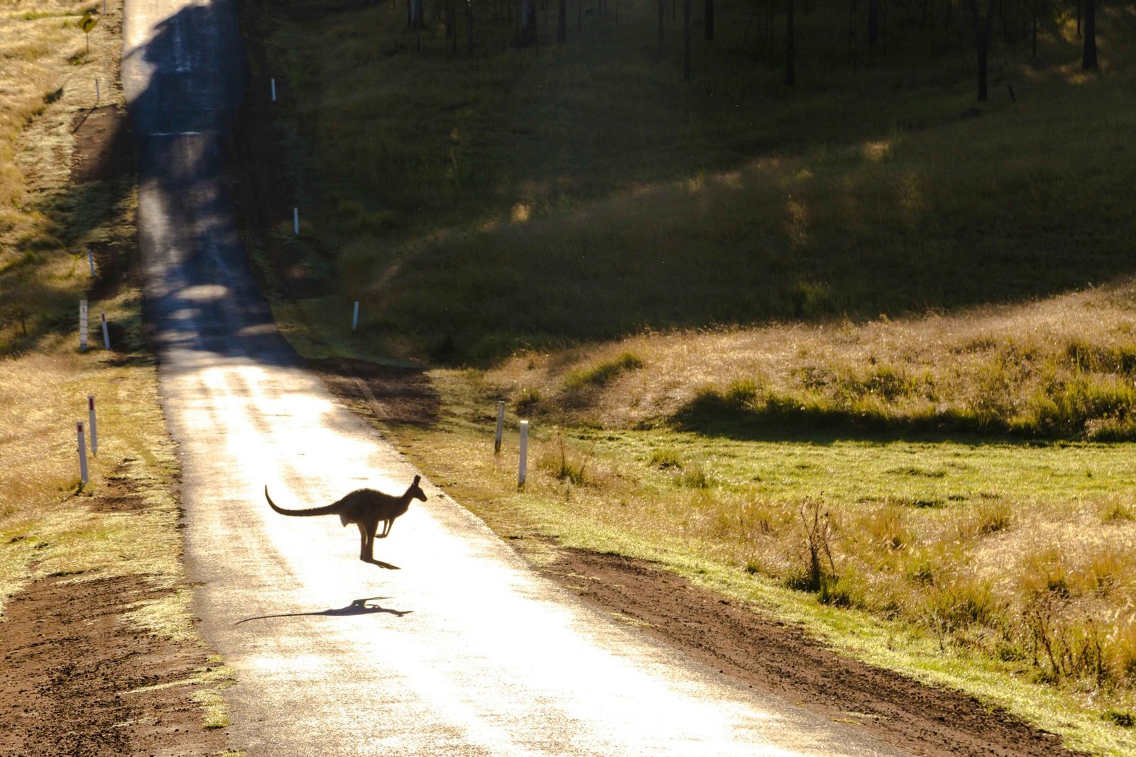 WT.Australia