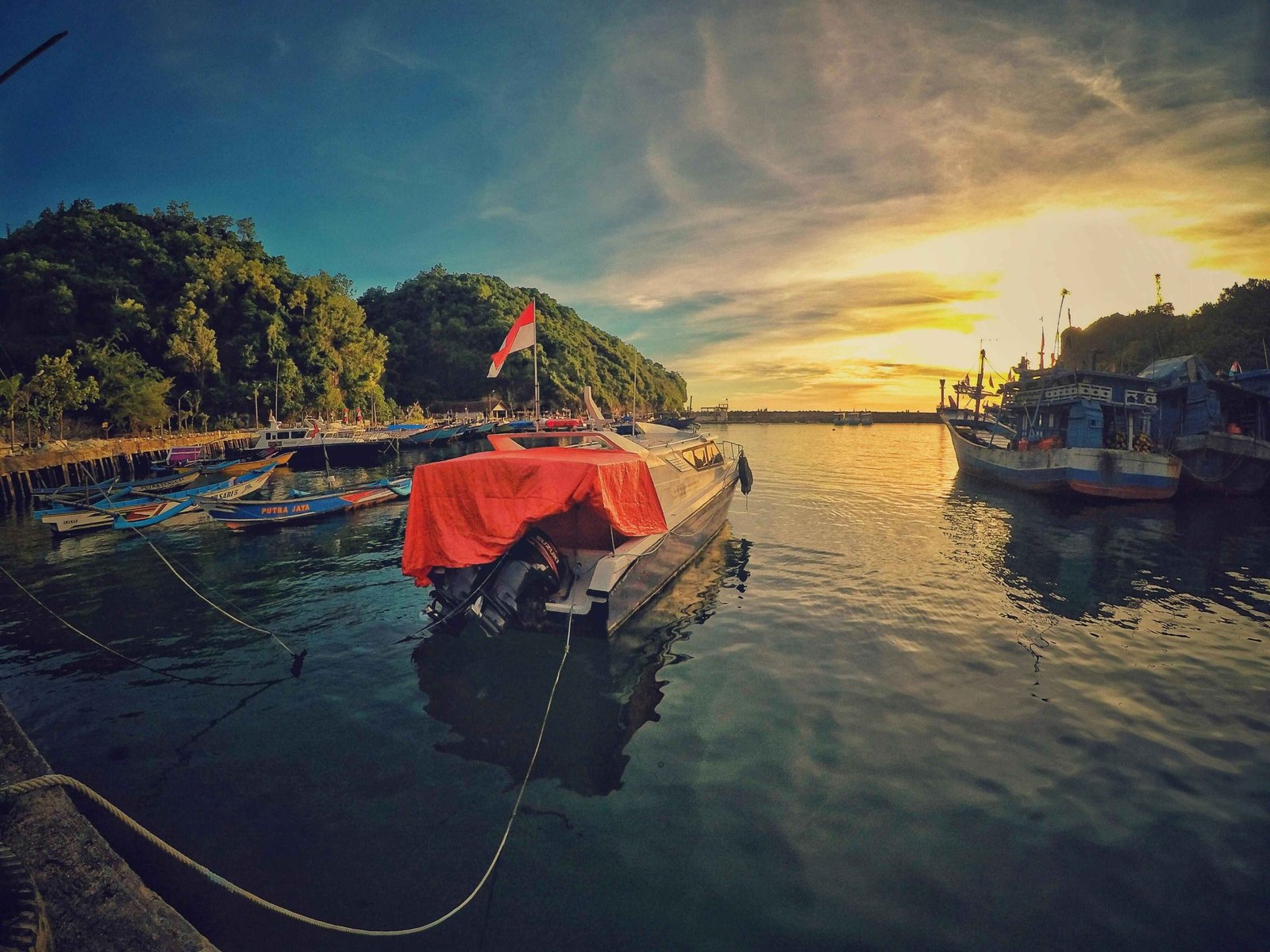 WT.Indonesia