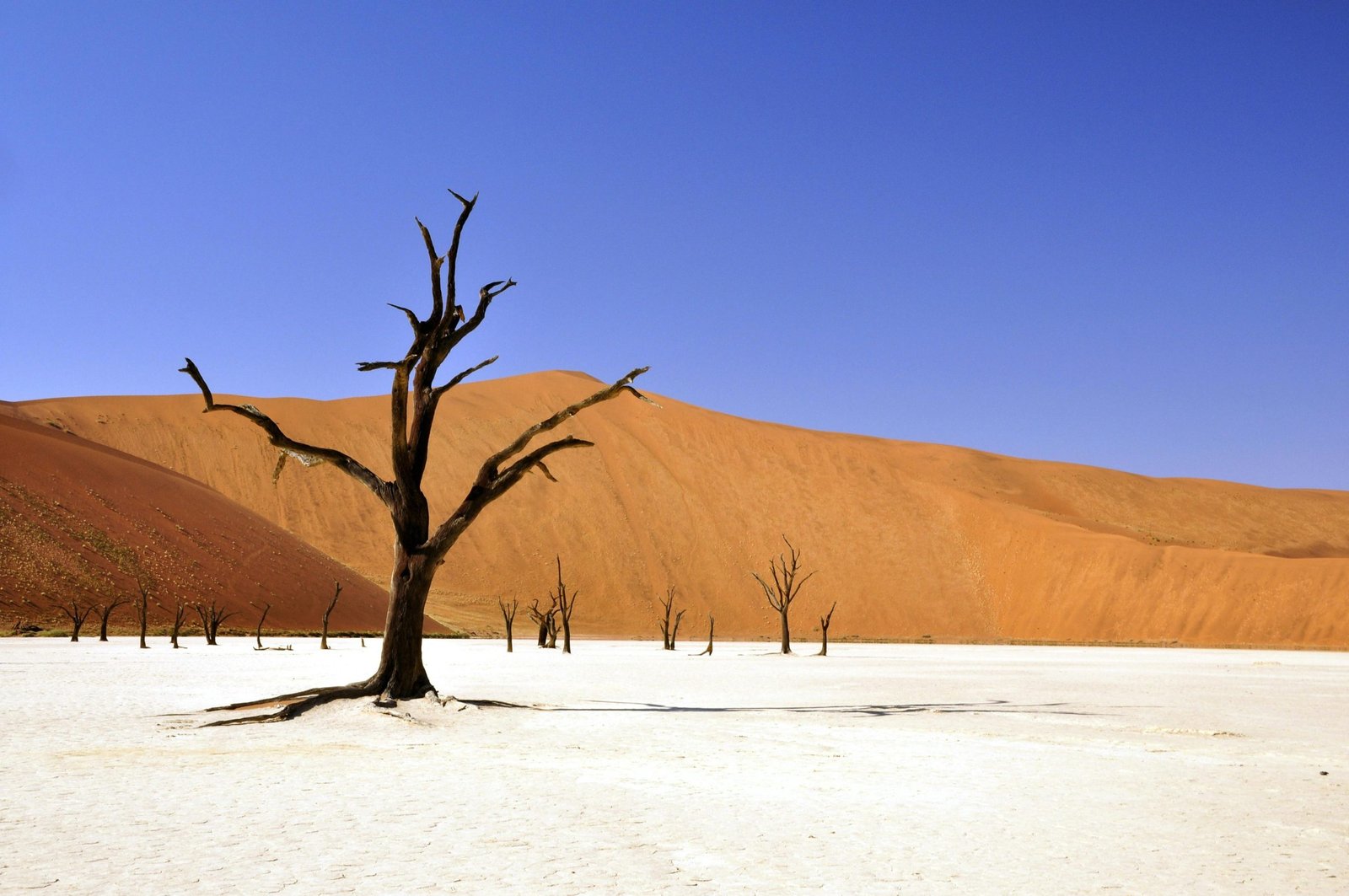 WT.Namibia